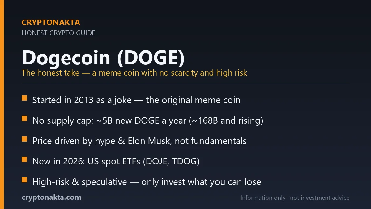 Summary card: Dogecoin (DOGE) honest key facts — a 2013 meme coin with no supply cap (~5B new per year, ~168B circulating), price driven by hype and Elon Musk, 2026 US spot ETFs, high-risk and speculative. Cryptonakta.