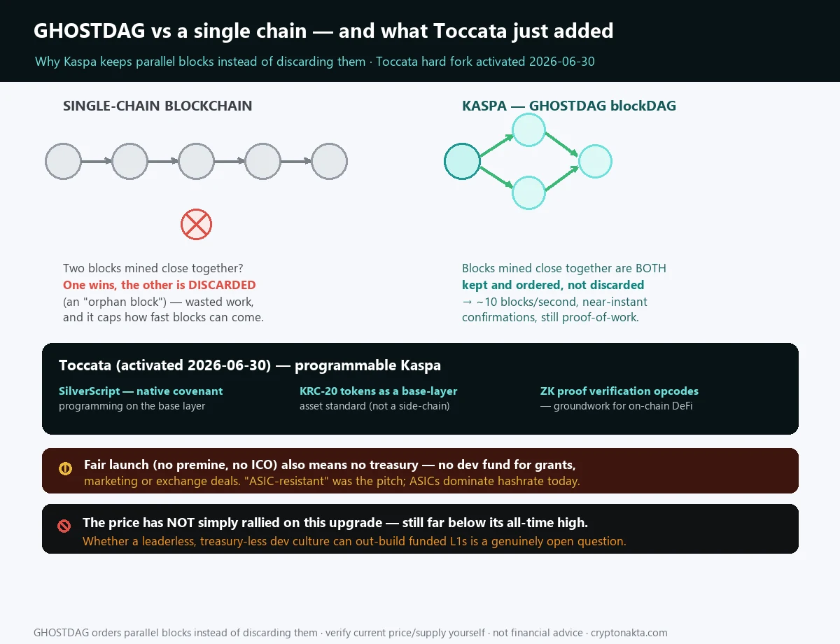Kaspa GHOSTDAG blockDAG versus a single-chain blockchain diagram: on a single chain two close blocks force one to be discarded as an orphan, while GHOSTDAG keeps and orders both, enabling about ten blocks per second; the diagram also covers the Toccata hard fork (activated 2026-06-30) adding SilverScript covenants, KRC-20 tokens and ZK verification, plus honest notes that fair launch means no treasury, ASIC resistance did not hold, and the price has not simply rallied on the upgrade. Kaspa GHOSTDAG blockDAG versus a single-chain blockchain diagram: on a single chain two close blocks force one to be discarded as an orphan, while GHOSTDAG keeps and orders both, enabling about ten blocks per second; the diagram also covers the Toccata hard fork (activated 2026-06-30) adding SilverScript covenants, KRC-20 tokens and ZK verification, plus honest notes that fair launch means no treasury, ASIC resistance did not hold, and the price has not simply rallied on the upgrade.