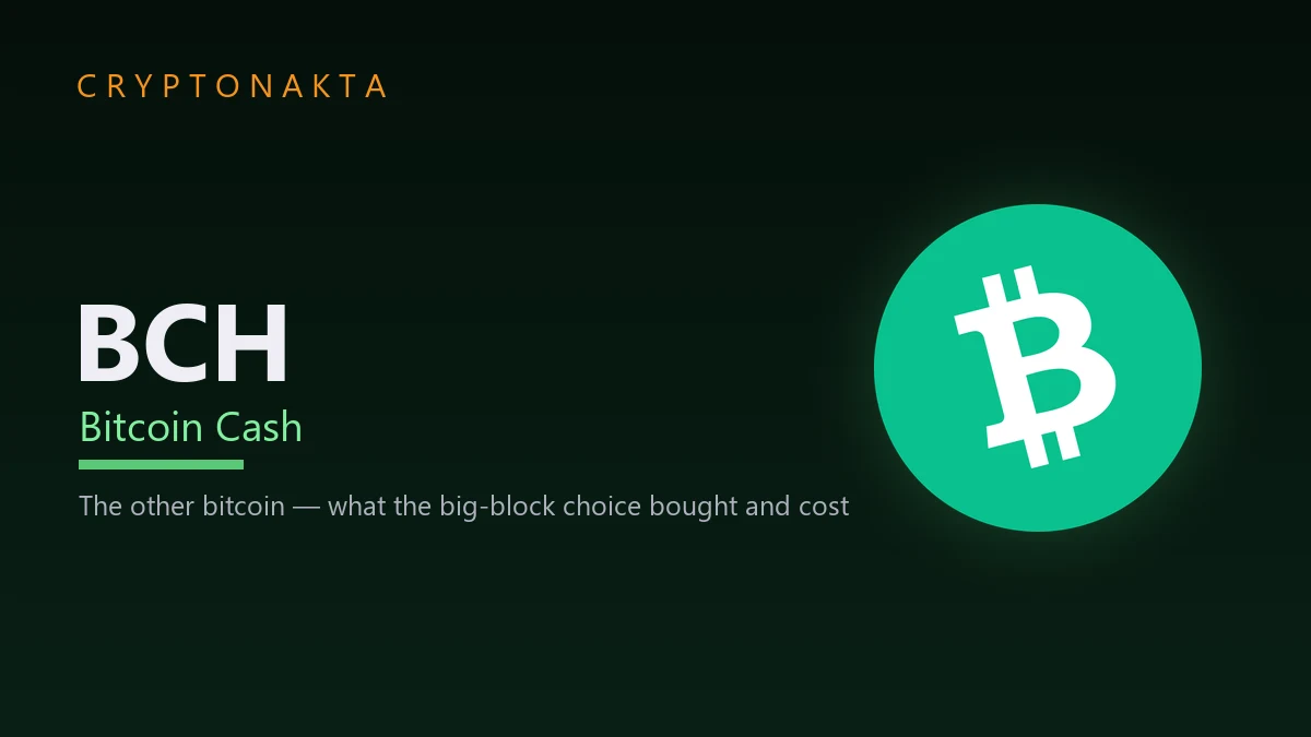 Bitcoin Cash (BCH) — The other bitcoin — what the big-block choice bought and cost — Cryptonakta