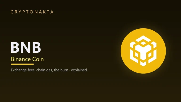 Binance Coin (BNB) — Exchange fees, chain gas, the burn · explained — Cryptonakta