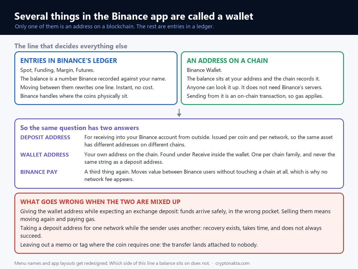 把幣安 App 裡那些都叫做錢包的畫面依性質分開的結構圖。一邊是現貨、資金、槓桿和合約，那裡的餘額是幣安記在自己帳本上的數字，在這些區塊之間互轉只是改寫一行紀錄，所以即時完成也不收費。另一邊是幣安錢包，餘額位在區塊鏈上的一個地址、由鏈本身記錄，任何人都查得到，而從這裡送出是鏈上交易，因此要付礦工費。下方的表格說明為什麼「你的幣安錢包地址」是個含糊的問題，區分了依幣種和網路各自產生的交易所入金地址、位在錢包「接收」裡每個鏈系列一個的錢包自身地址，以及在幣安用戶之間移轉、完全不碰鏈的 Binance Pay。最後一格列出兩種地址被搞混時實際會發生的三種狀況 - Cryptonakta